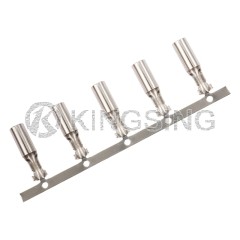 Bullet Terminals